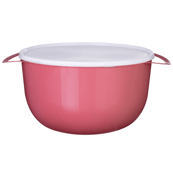 Bacia Com Tampa e Alça 10L