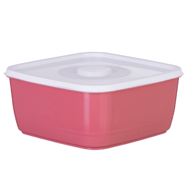 Pote Organiza Fácil 2,1L