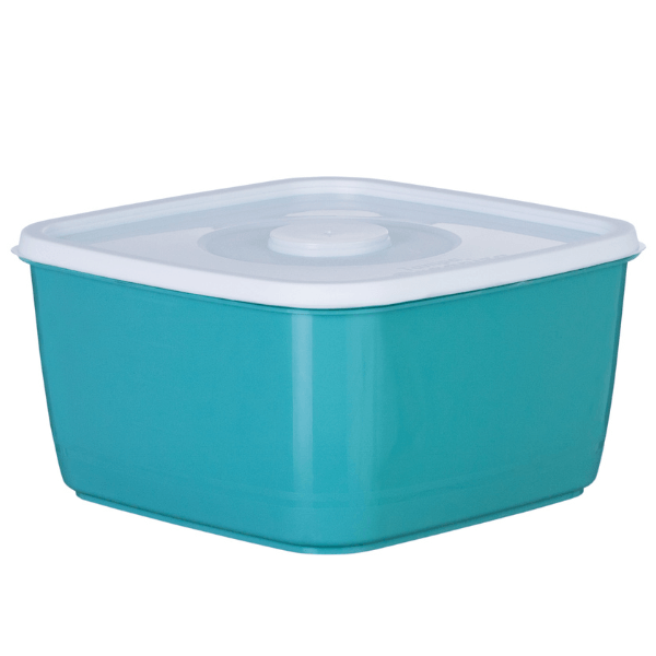 Pote Organiza Fácil 2,6L