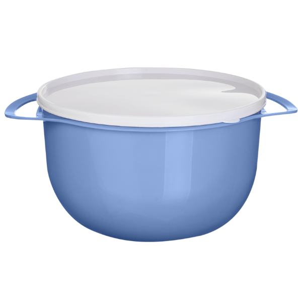 Bacia com Tampa e Alça 6L